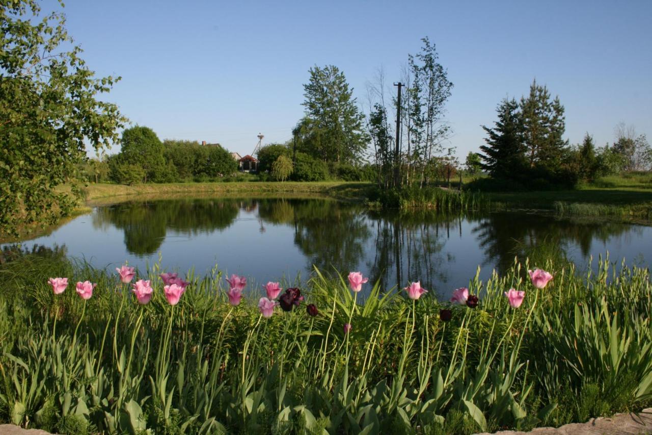 Dikisi Vila Daugavpils Exterior foto