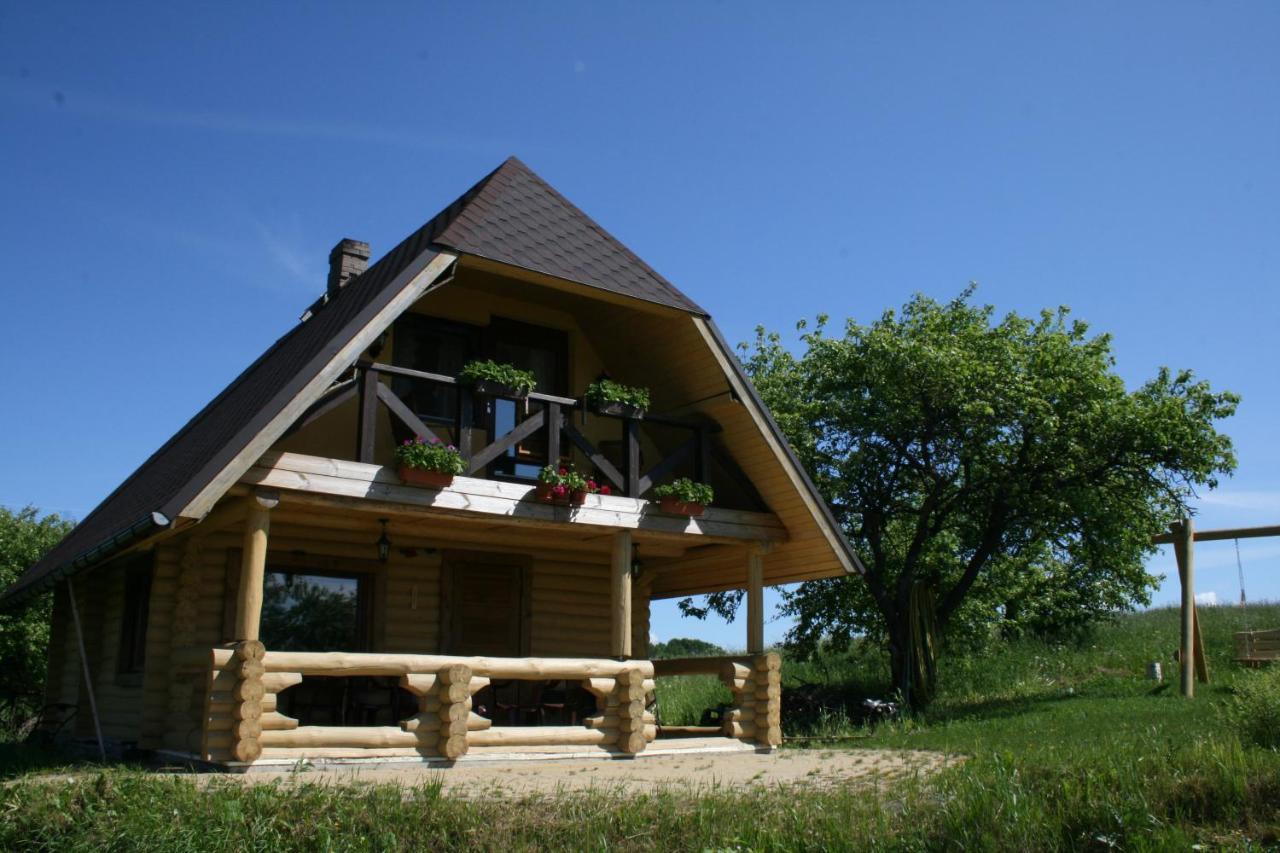 Dikisi Vila Daugavpils Exterior foto