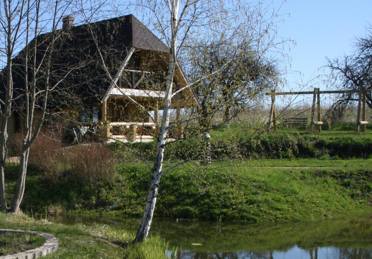 Dikisi Vila Daugavpils Exterior foto